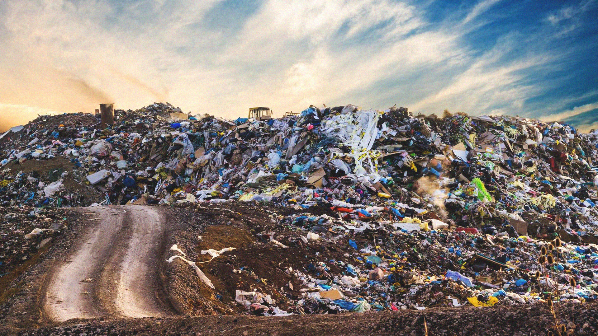 HOW CAN WE START WORKING TOWARDS SUSTAINABILITY?